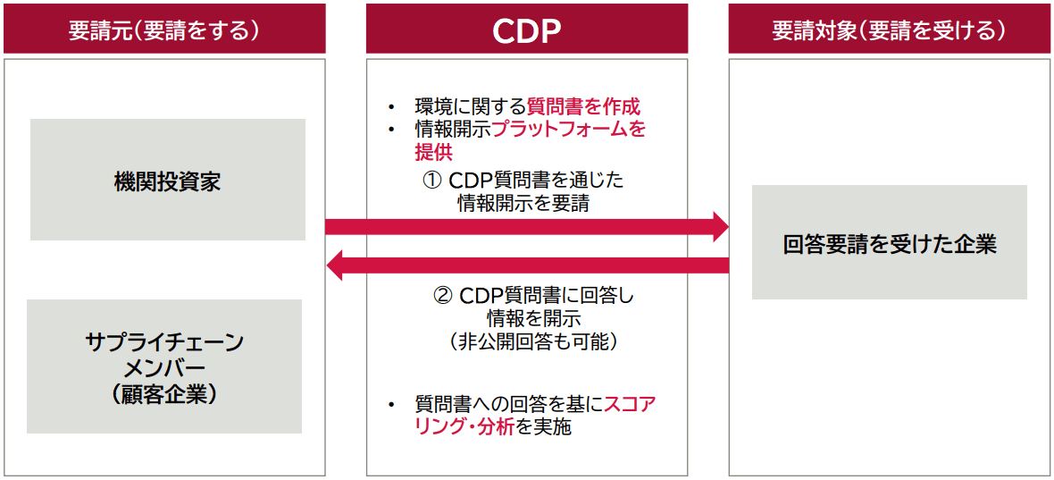 CDP概要と回答の進め方